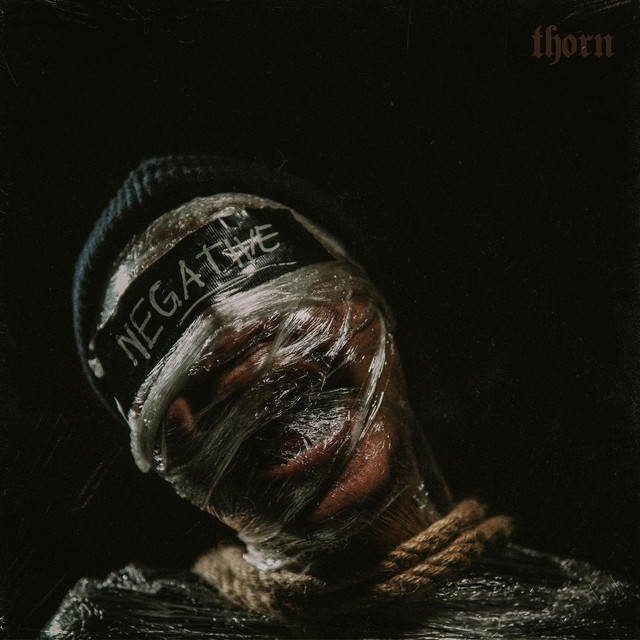 Thorn cover art