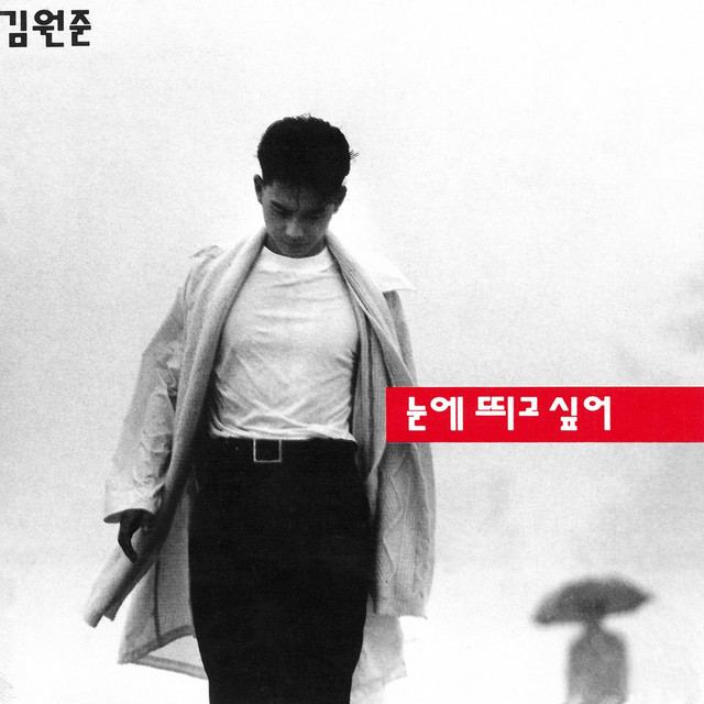 눈에 띄고 싶어 cover art