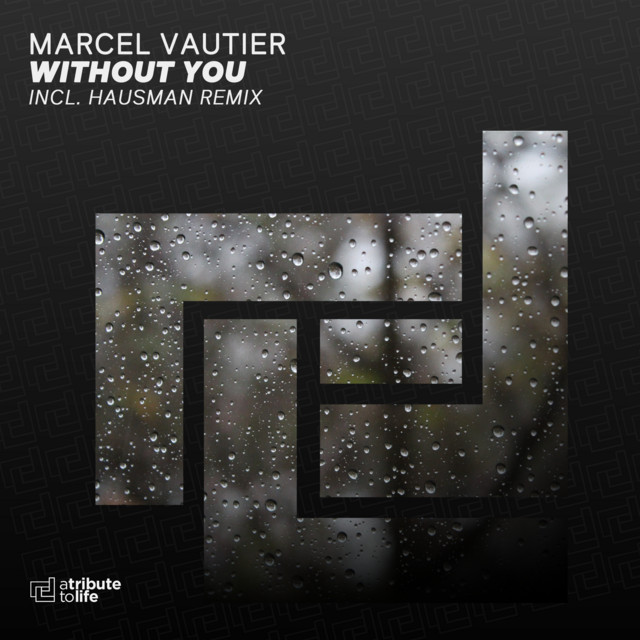 Without You - Hausman Remix cover art