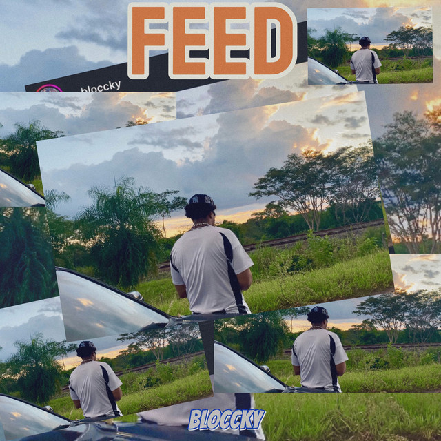 Feed