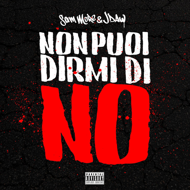 NON PUOI DIRMI DI NO cover art