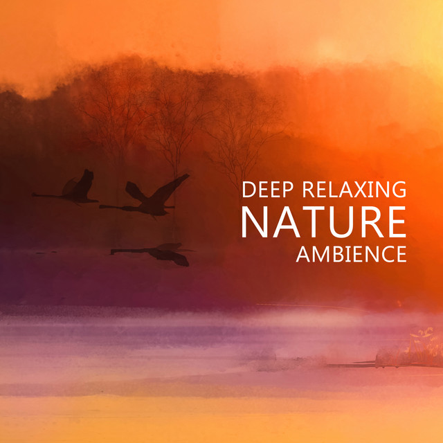 Deep Relaxing Nature Ambience - Relaxing River Sounds, Gentle Ocean Waves, Nature Sounds, Rain, Forest, Singing Birds Ambience (Music for Meditation & Sleep) cover art