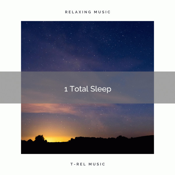 1 Total Sleep cover art