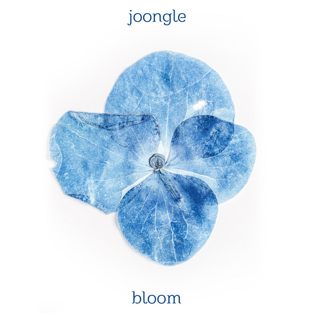 Bloom cover art