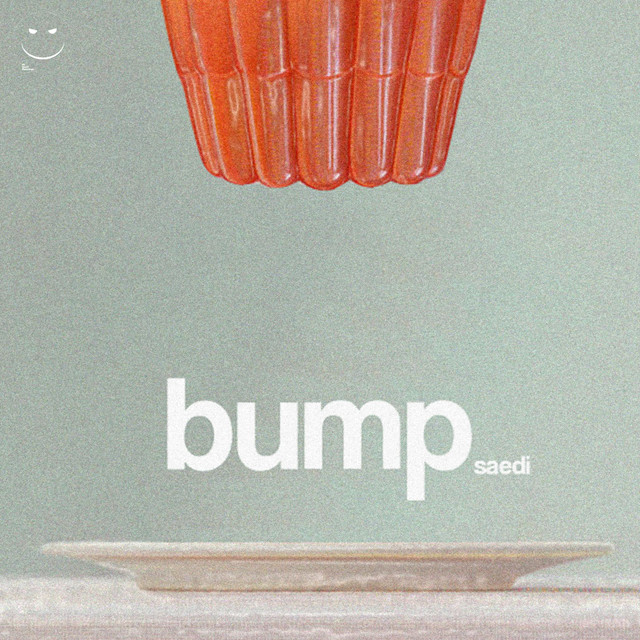 Bump cover art
