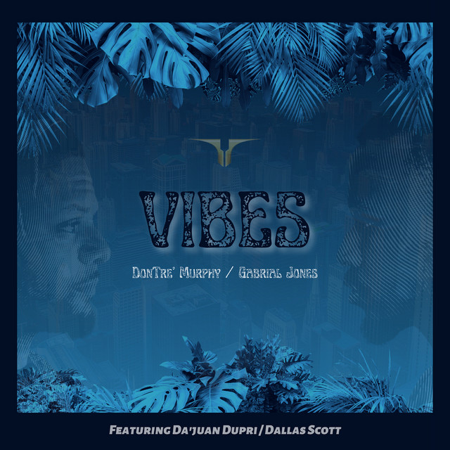 Vibes cover art