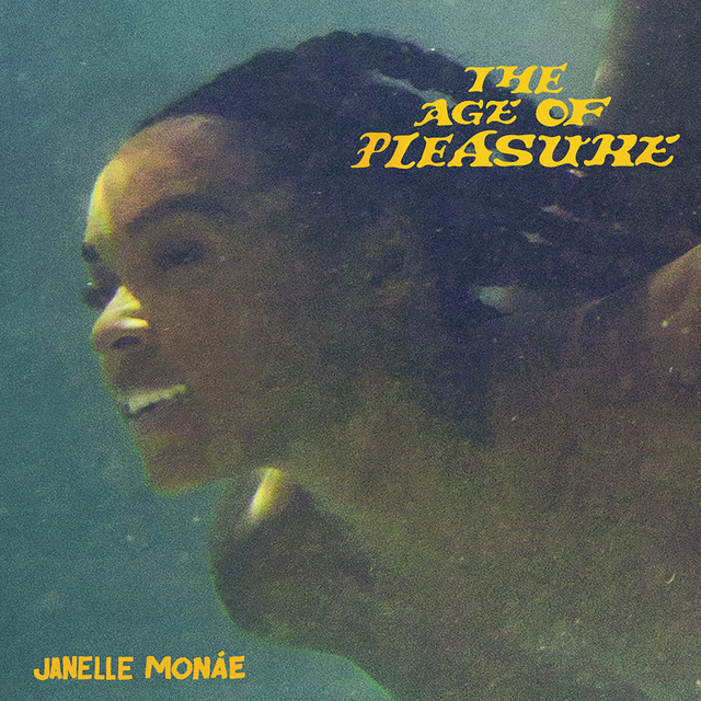 The Age of Pleasure cover art