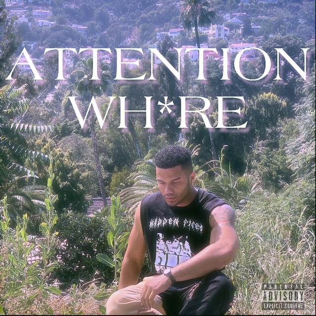 ATTENTION WHORE cover art