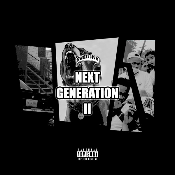 Swazi Jive Next Generation II cover art