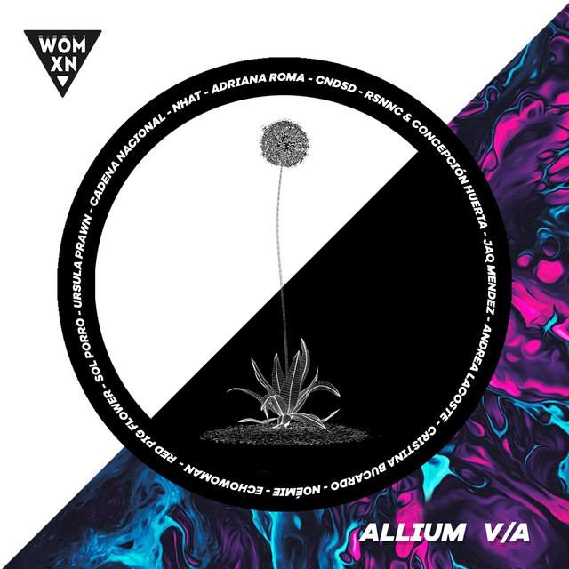 Allium cover art