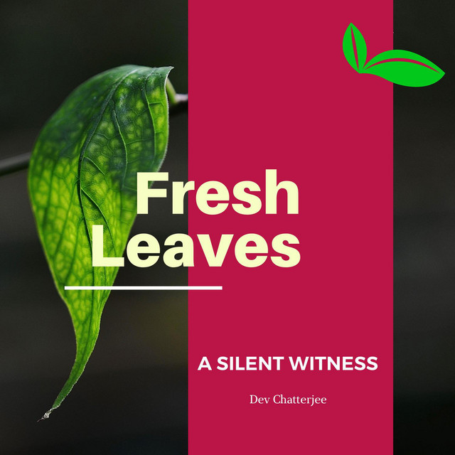 A Silent Witness - Single by Dev Chatterjee | Spotify