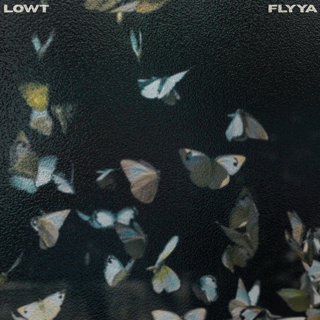 FLYYA cover art