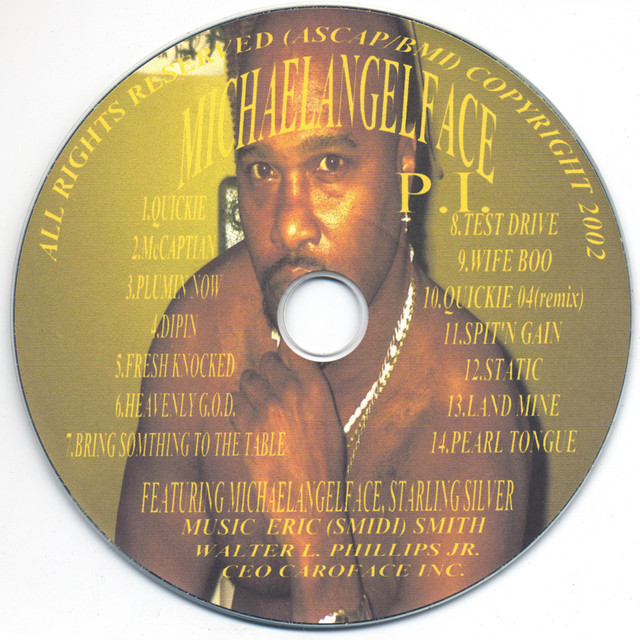 P. I. cover