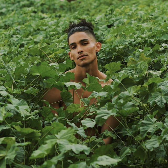 roots cover art