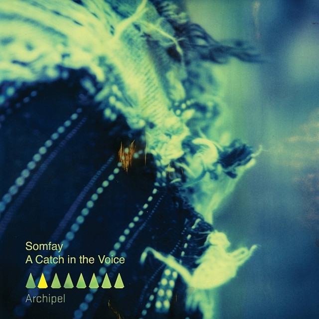 A Catch In The Voice cover art