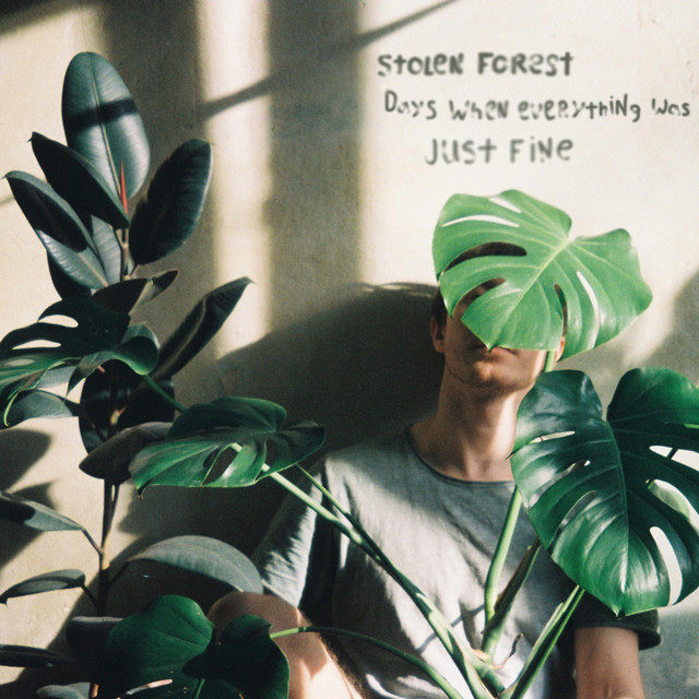 Cover art: Days when everything was just fine — Stolen Forest