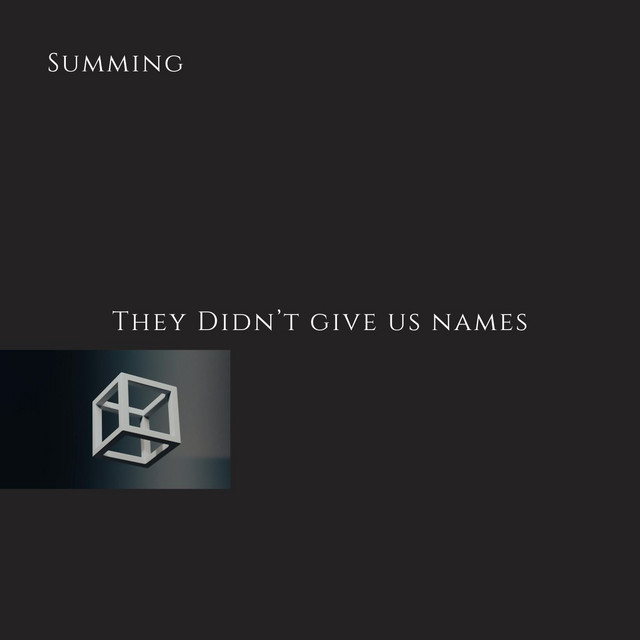 They Didn't Give Us Names