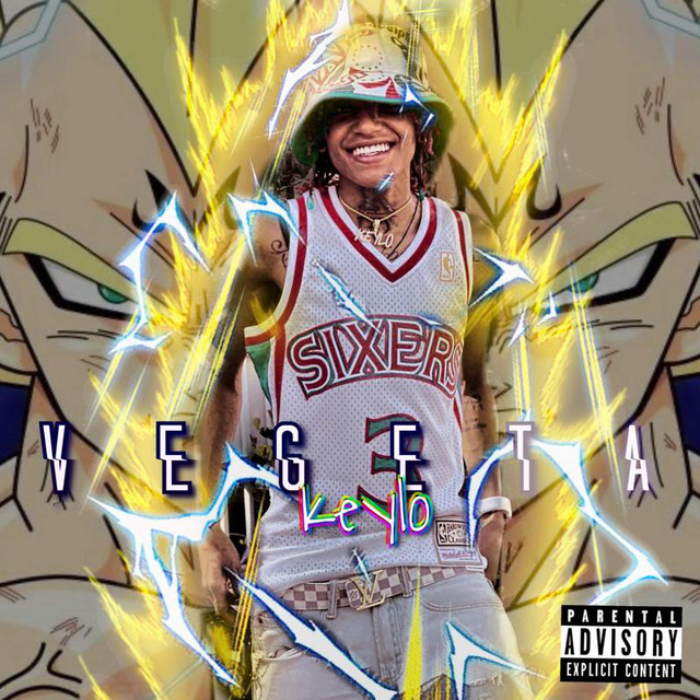 Vegeta cover art