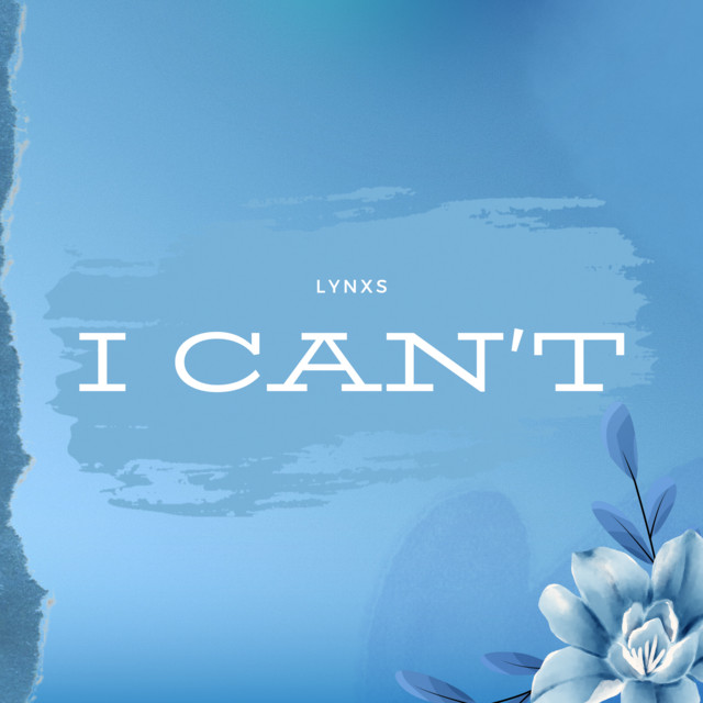 I Can't - Slowed Down