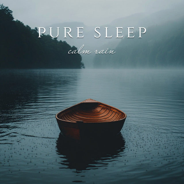 Whispered Calm Rain - Album by Pure Sleep White Noise | Spotify