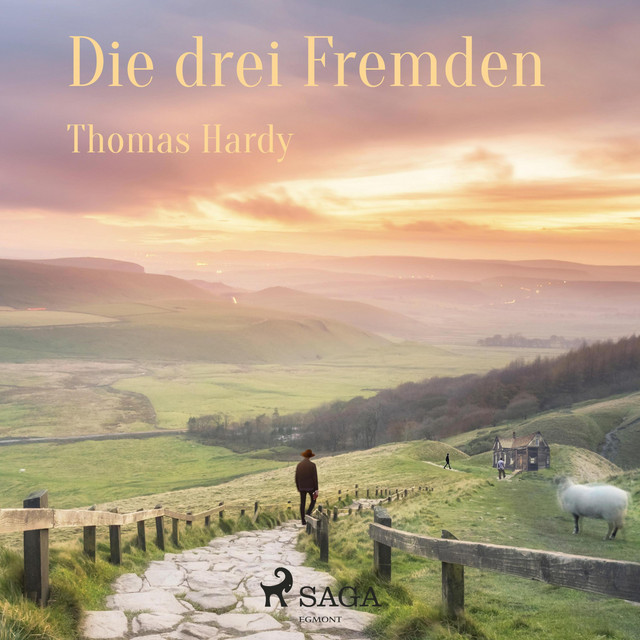 Die drei Fremden (Ungekürzt) cover art
