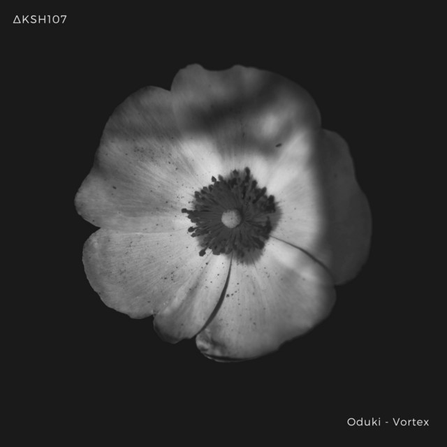 Vortex album art