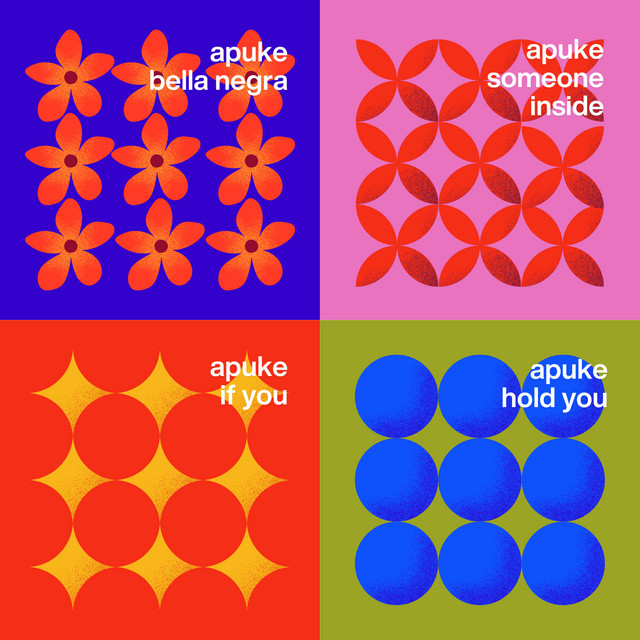 1001 Afro cover art