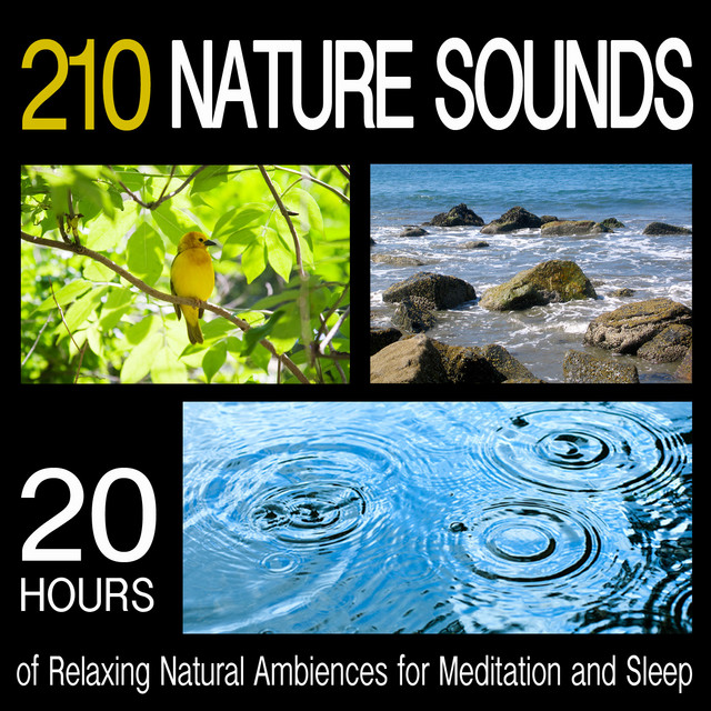 210 Nature Sounds: 20 Hours of Relaxing Natural Ambiences for ...