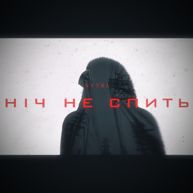 Cover art: Ніч не спить — Netri