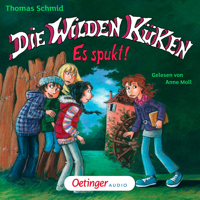Die Wilden Küken 4. Es spukt! (Gekürzte Lesung) cover art