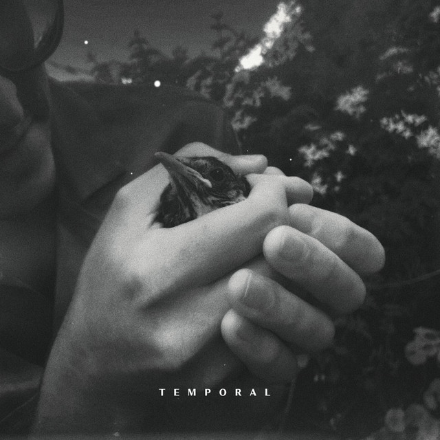 TEMPORAL cover art