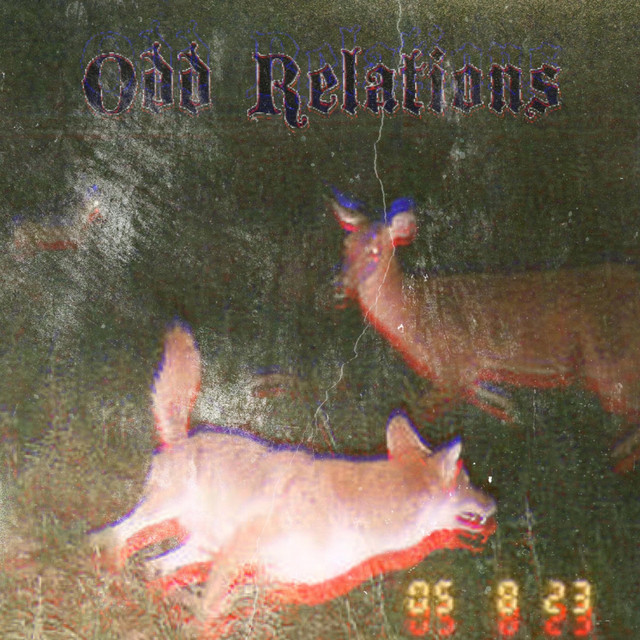 Odd Relations cover art