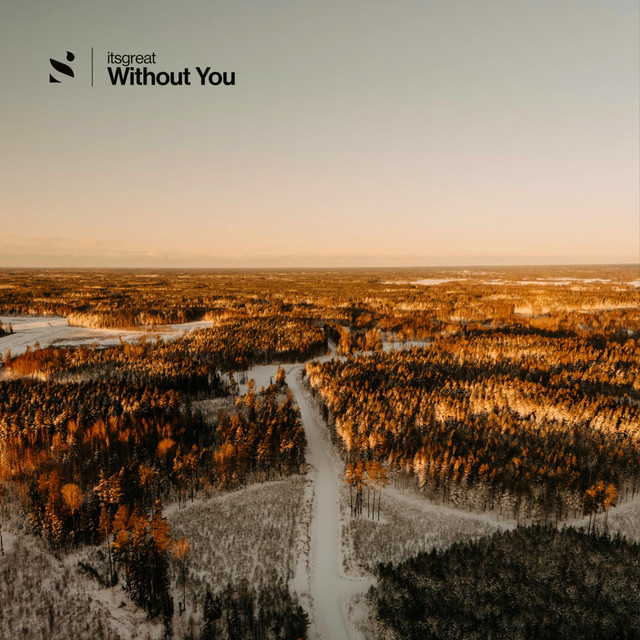 Without You