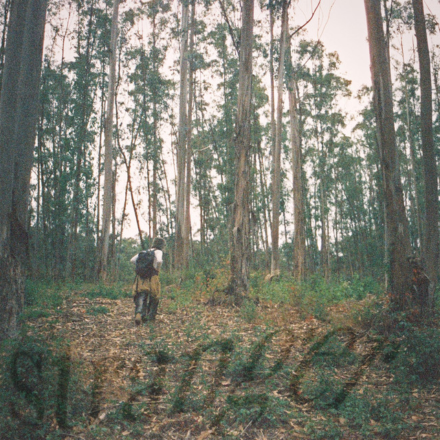stranger cover art