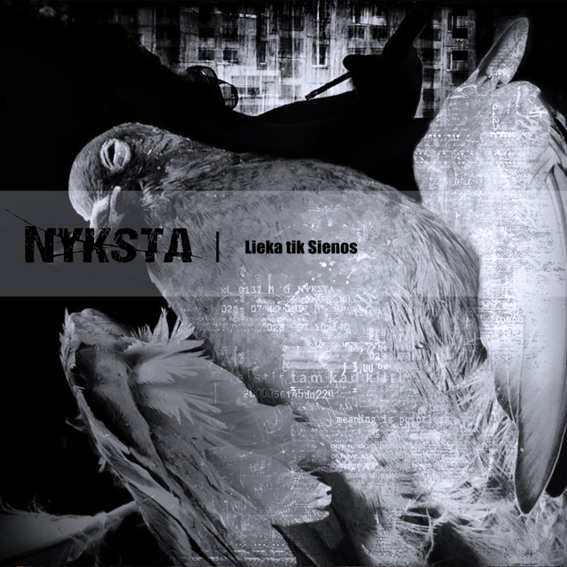 Nyksta Photo