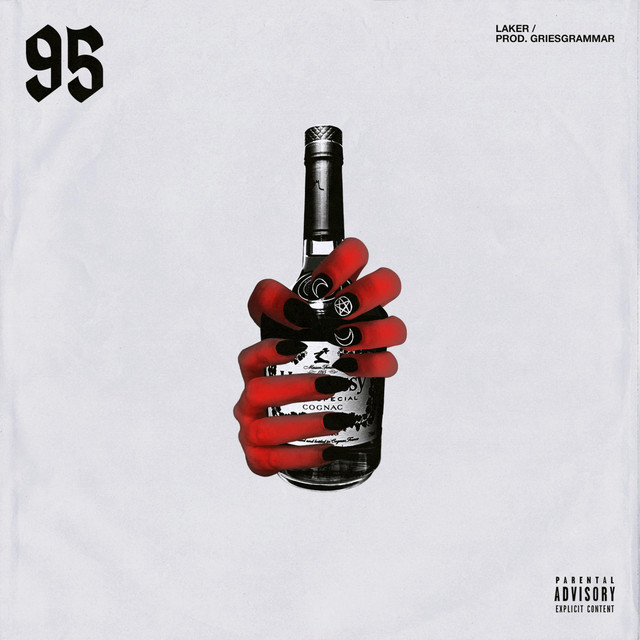 95 cover