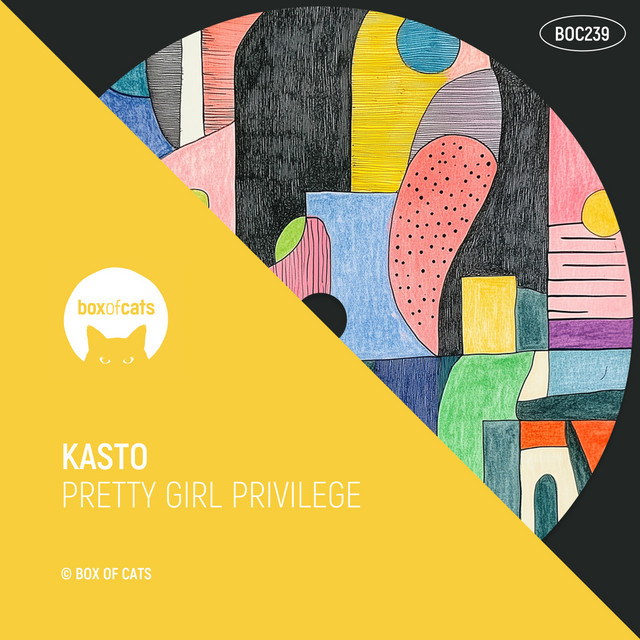 Pretty Girl Privilege cover
