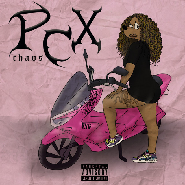 Pcx cover art