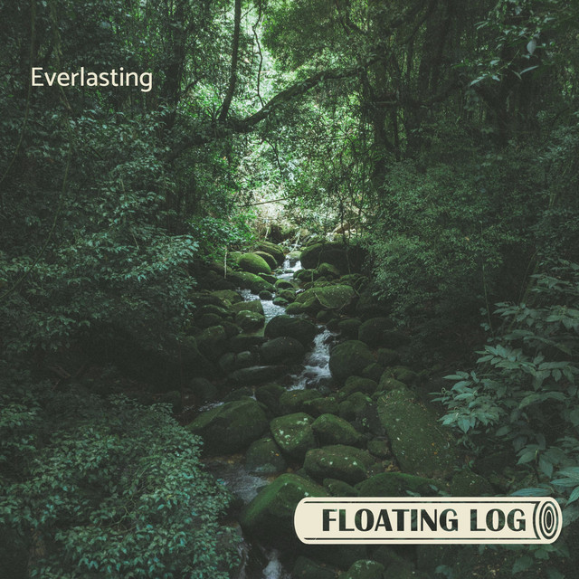 Everlasting cover art