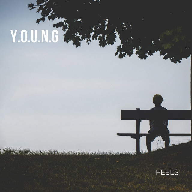 Feels cover art