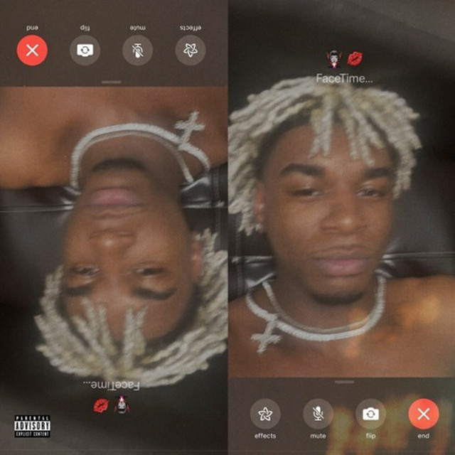 Ice cover art