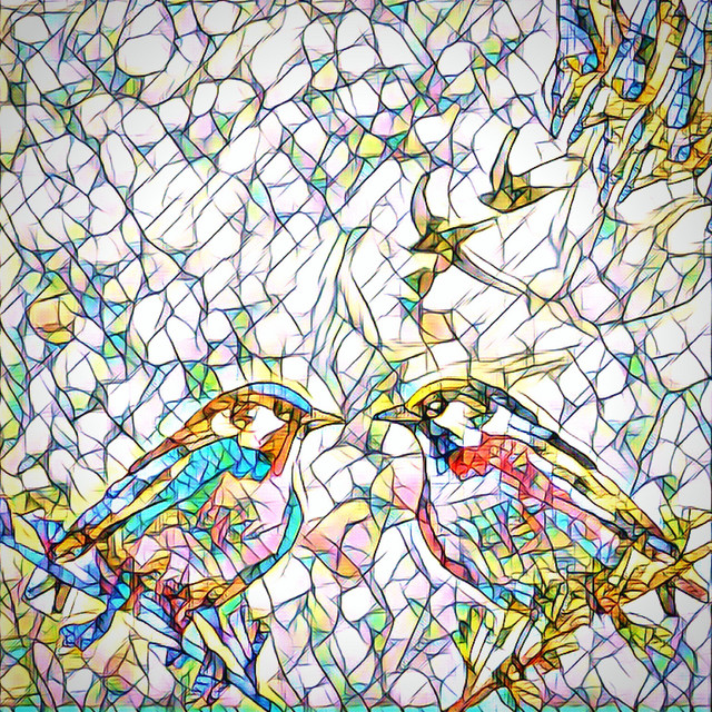30 Minutes of Bird Fields cover art