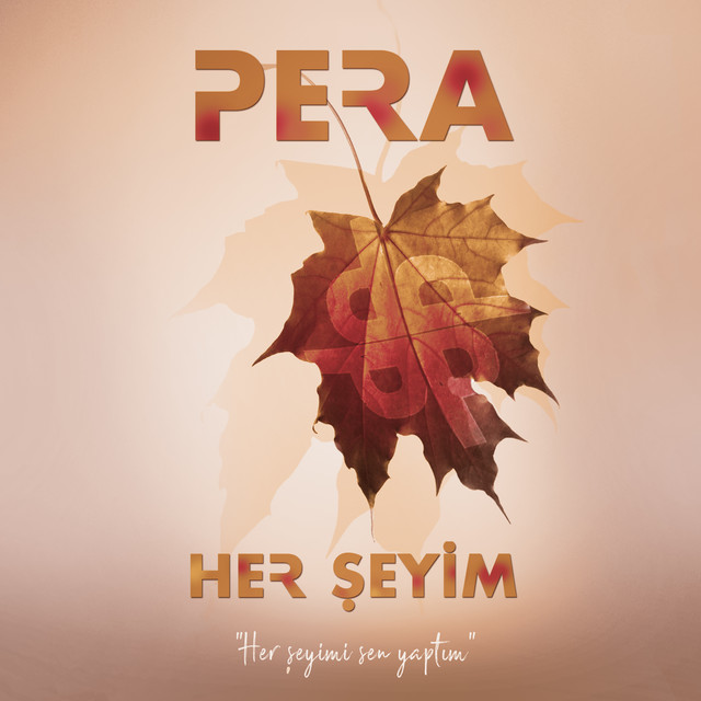 Her Şeyim cover art