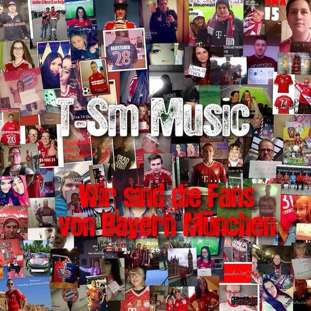 Wir sind die Fans von Bayern München cover art