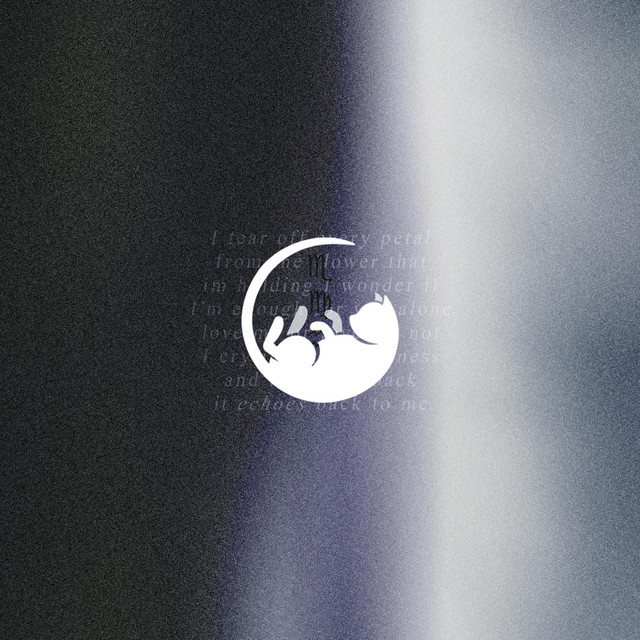 echo cover art
