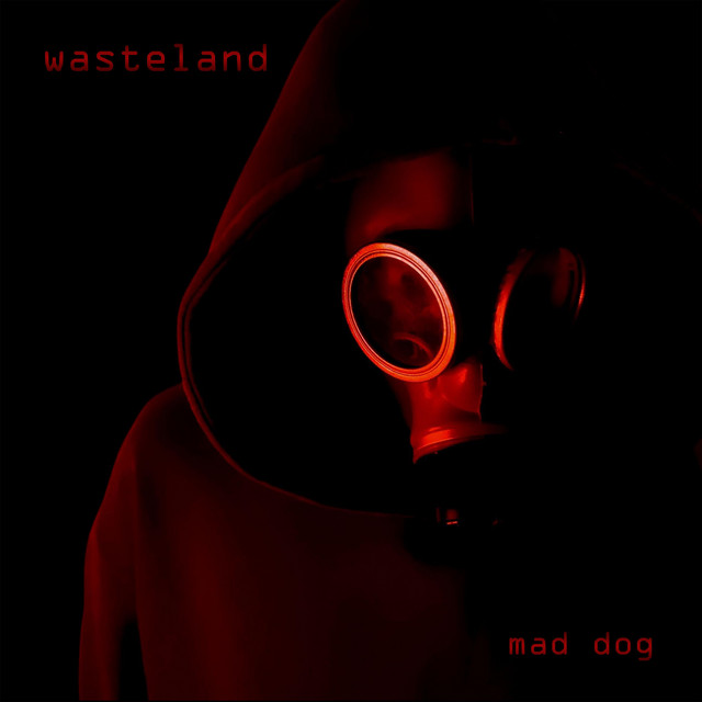 Обкладинка: Paranoia Echo — Mad Dog