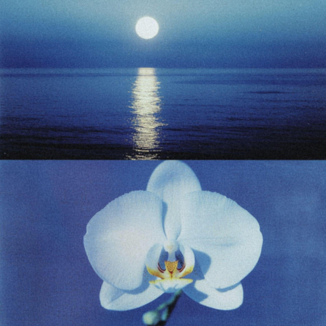 Love With No Exit cover art