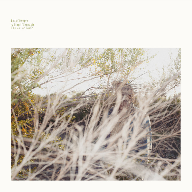 A Hand Through the Cellar Door cover art