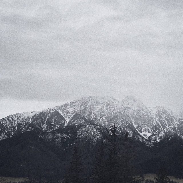 Обкладинка: Bleeding Out — Walst