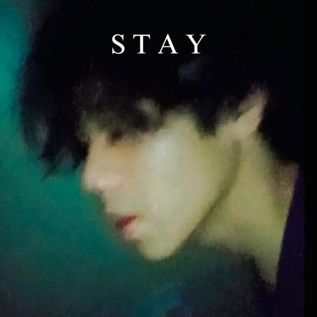 s t a y - slowed version